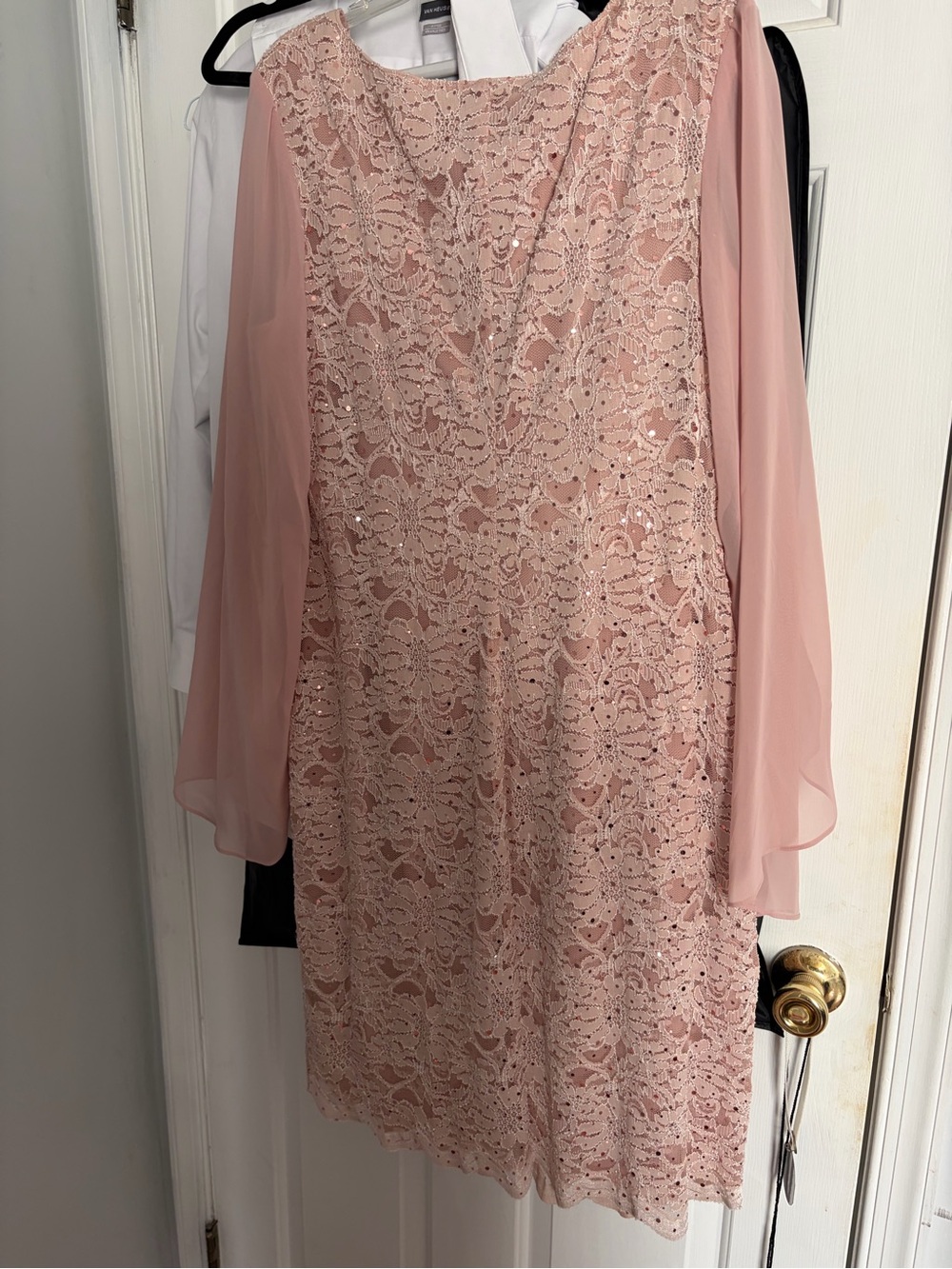 ConnectedWomen's Blush Lace Overlay Dress with Sheer Sleeves size 14